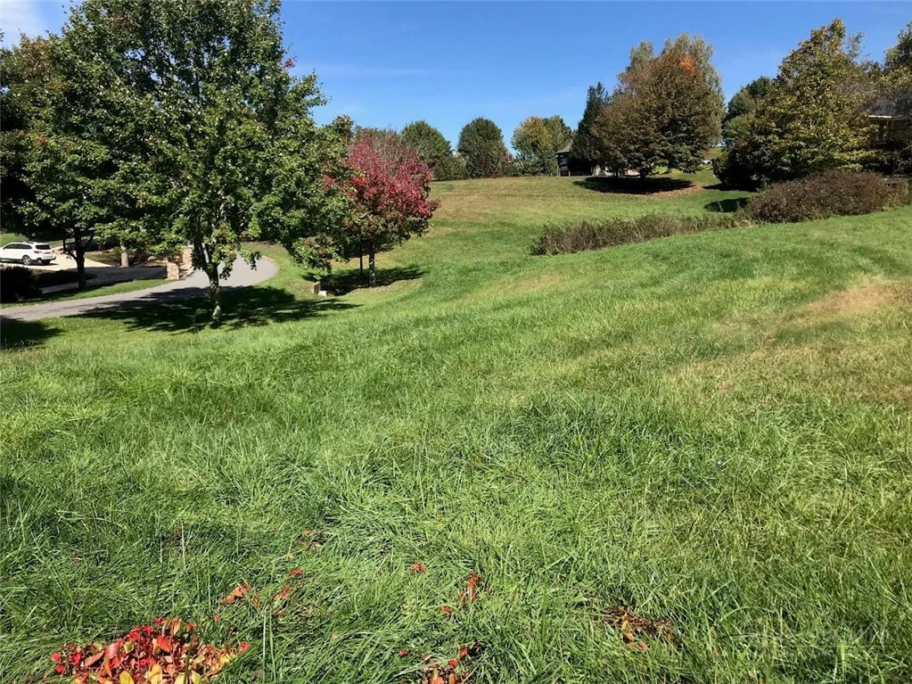 Image number 1 for the current listing