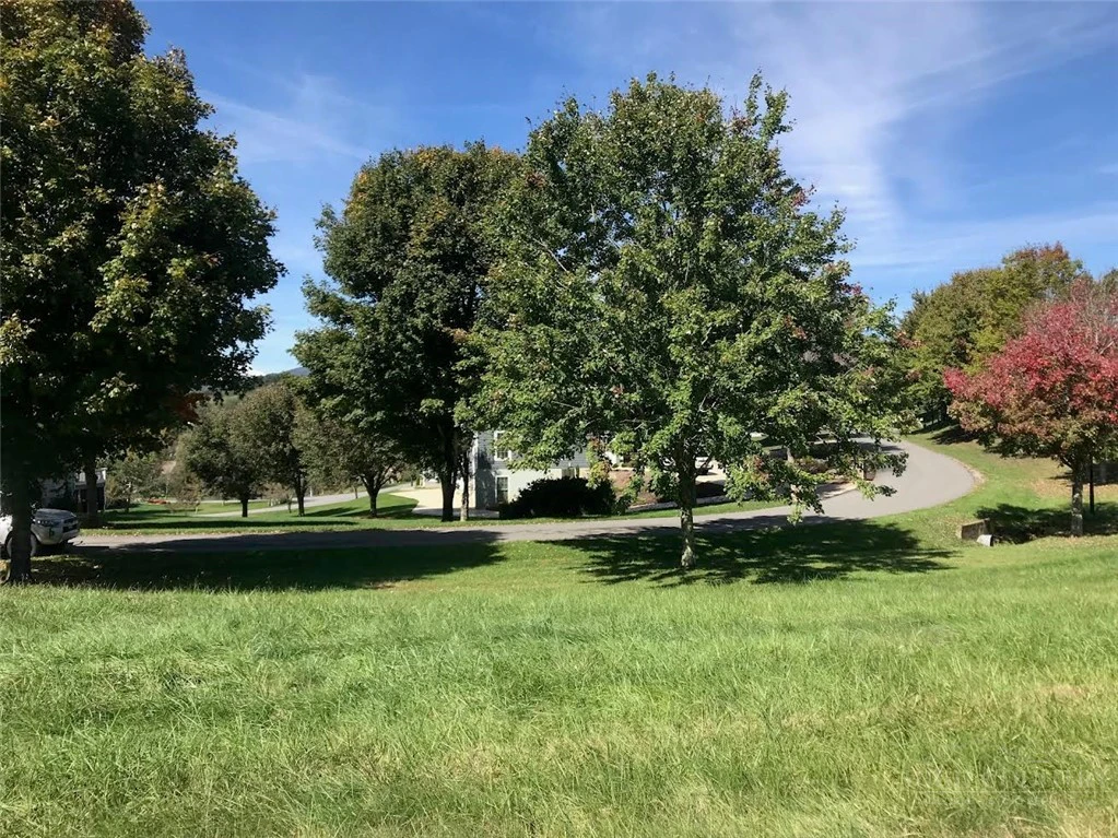 Image number 3 for the current listing
