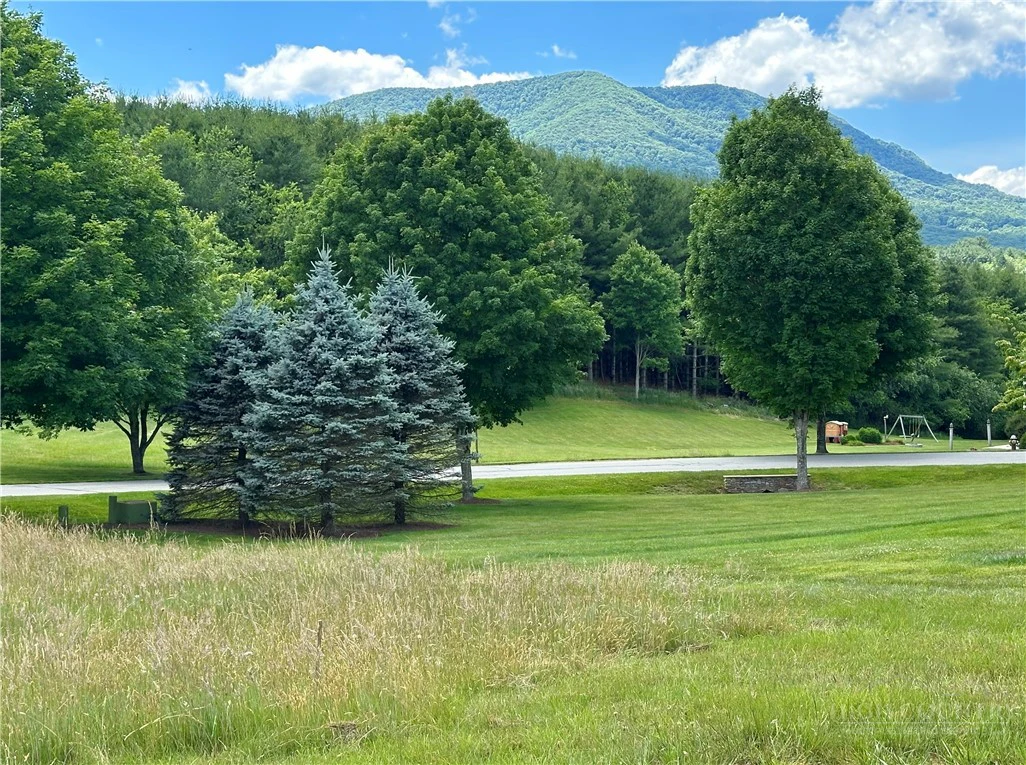 Image number 2 for the current listing