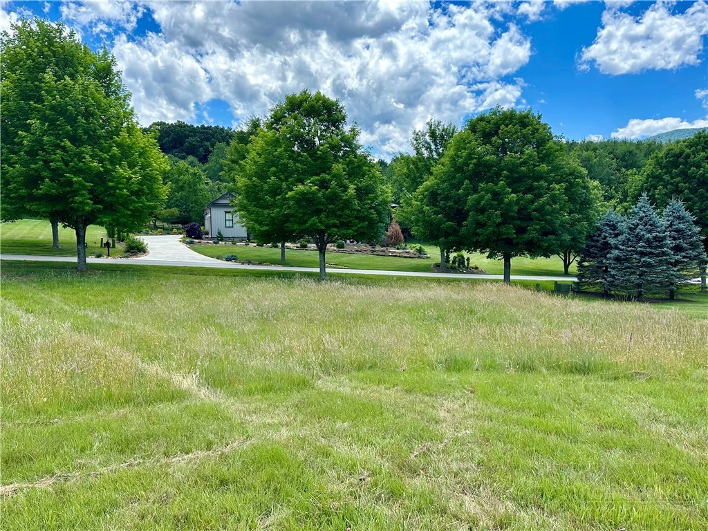 Image number 5 for the current listing