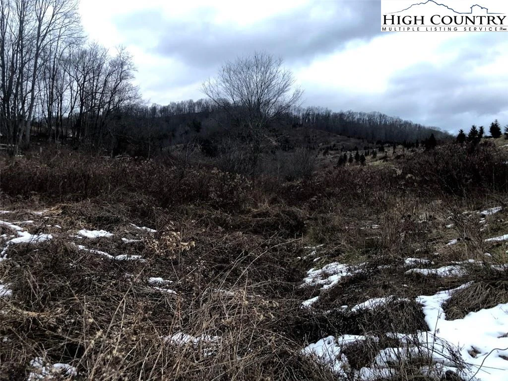 Image number 14 for the current listing