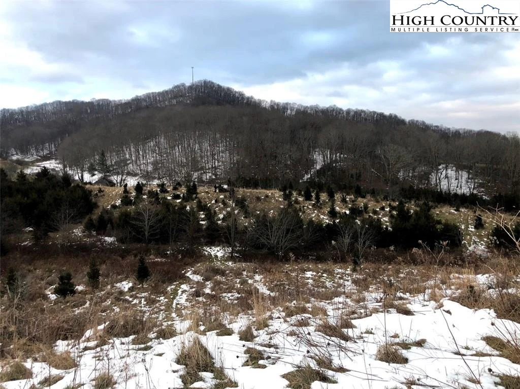 Image number 3 for the current listing