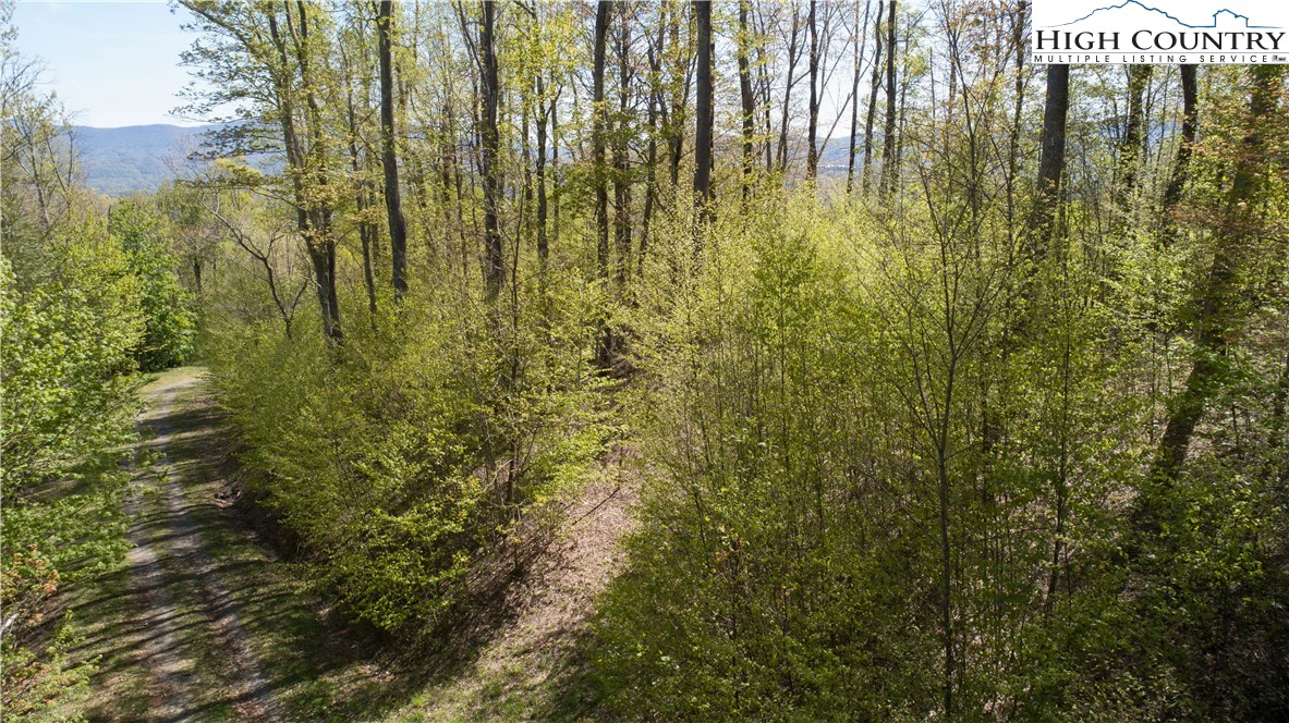 Image number 9 for the current listing