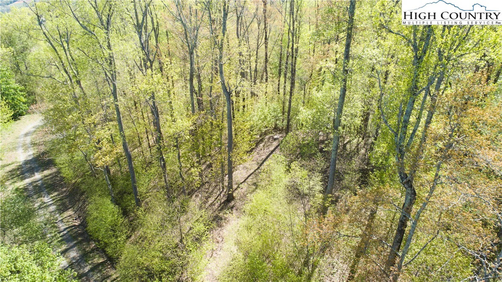 Image number 1 for the current listing