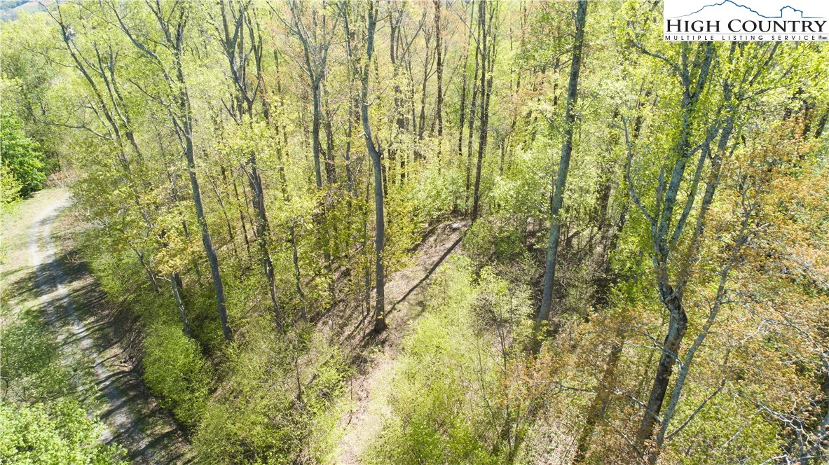 Image number 1 for the current listing