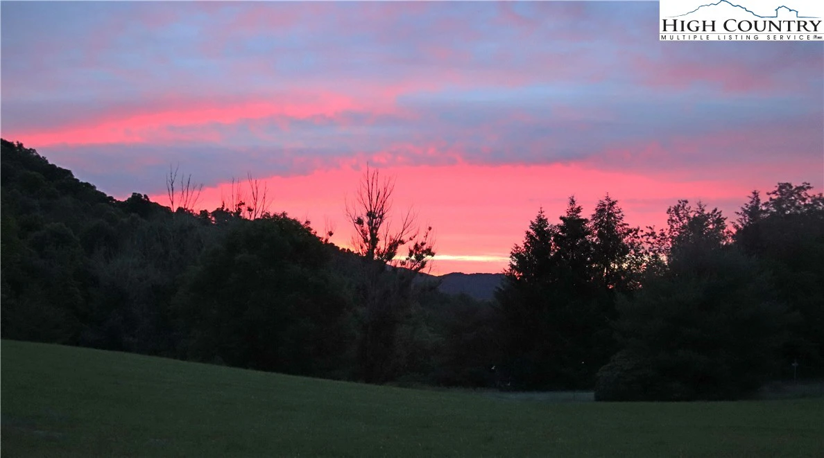 Image number 4 for the current listing