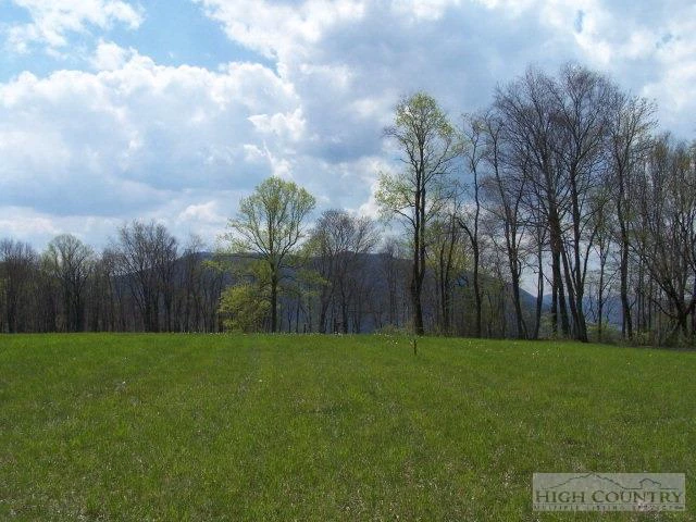 Image number 1 for the current listing