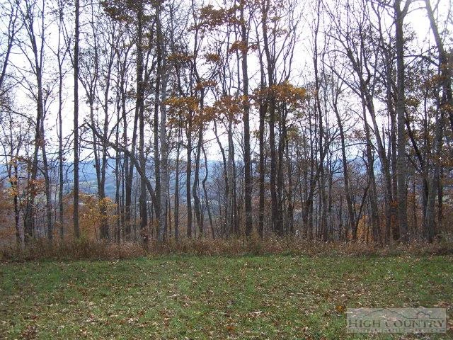 Image number 3 for the current listing