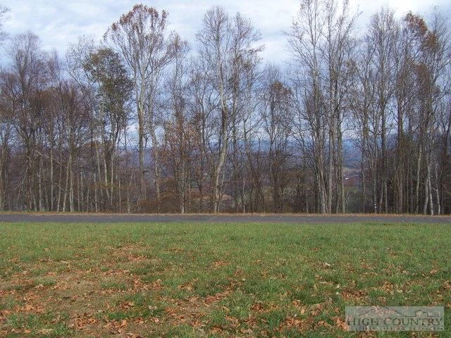 Image number 4 for the current listing