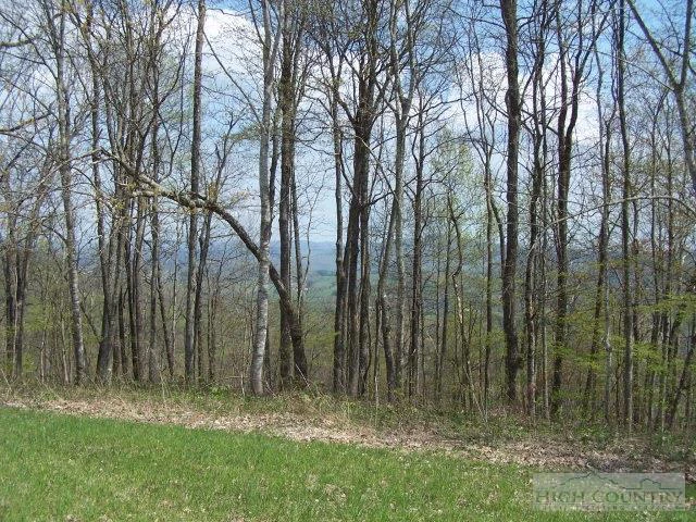 Image number 6 for the current listing