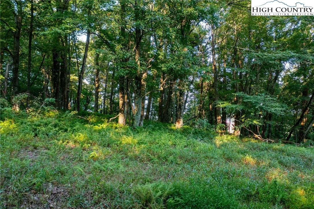 Image number 9 for the current listing