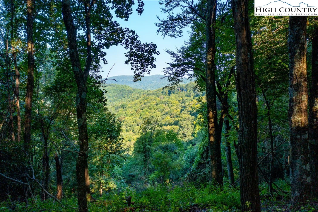 Image number 3 for the current listing