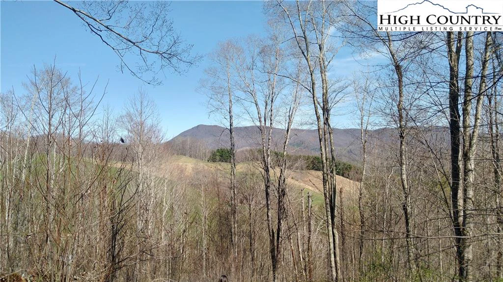 Image number 1 for the current listing