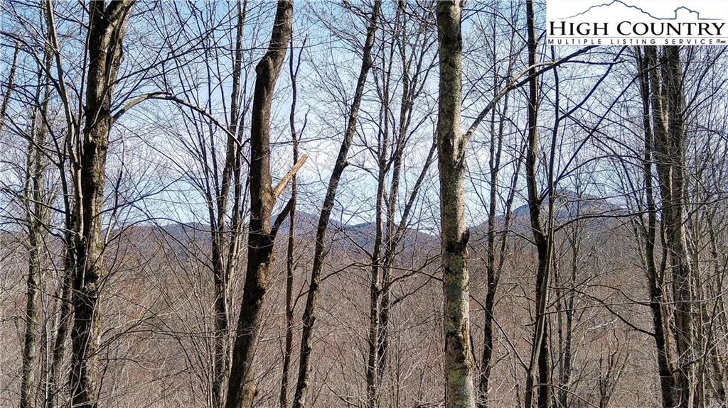 Image number 14 for the current listing