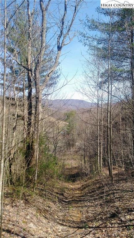 Image number 2 for the current listing
