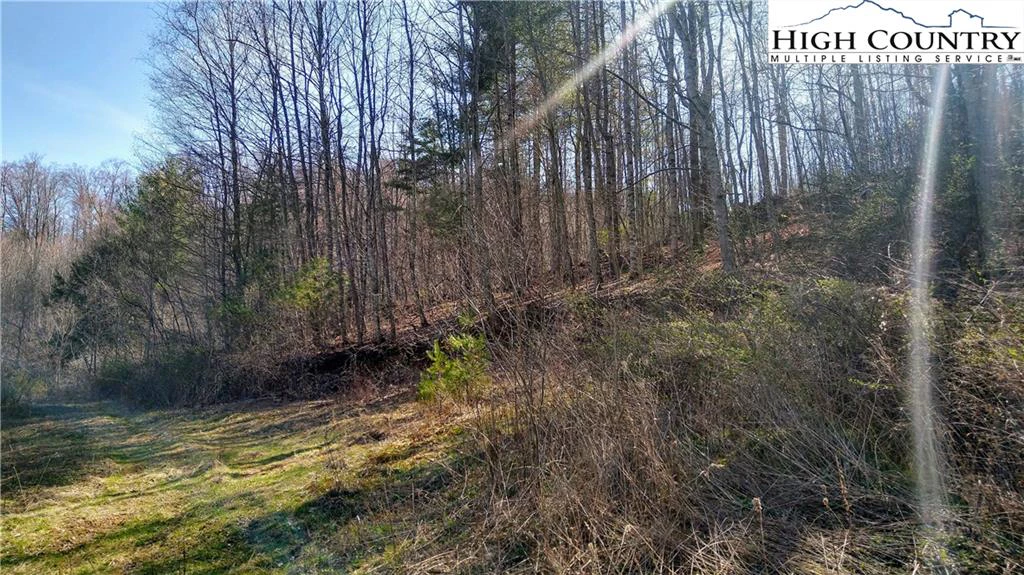 Image number 13 for the current listing
