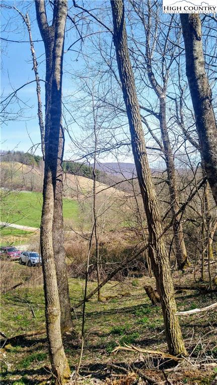 Image number 12 for the current listing