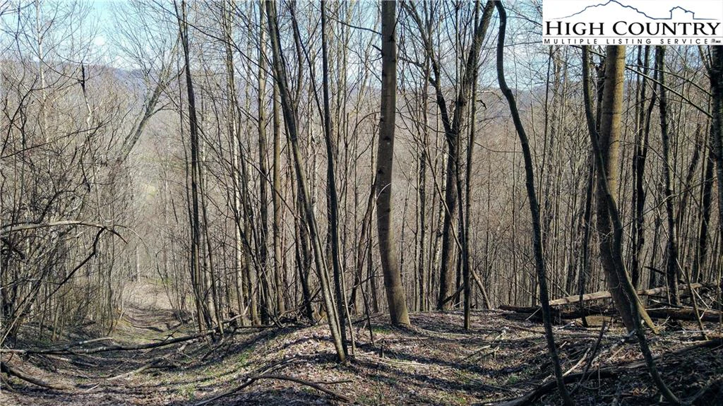 Image number 11 for the current listing