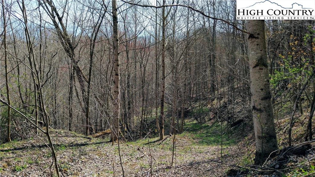 Image number 10 for the current listing