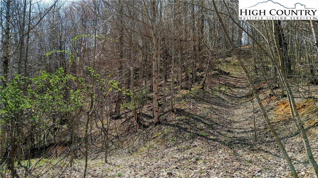 Image number 21 for the current listing