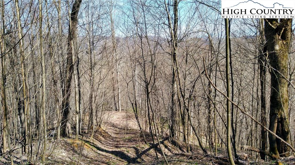 Image number 19 for the current listing