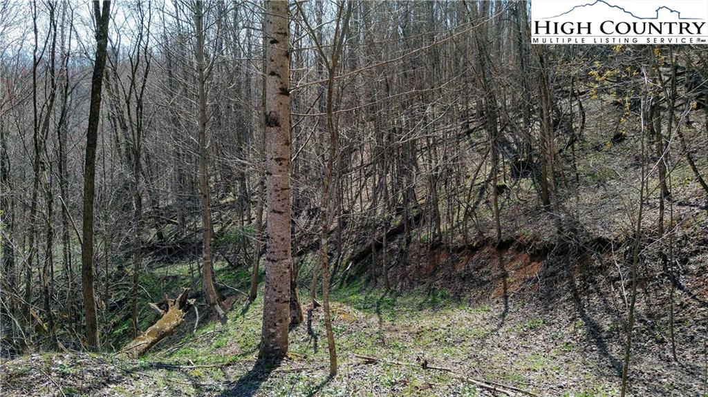 Image number 16 for the current listing