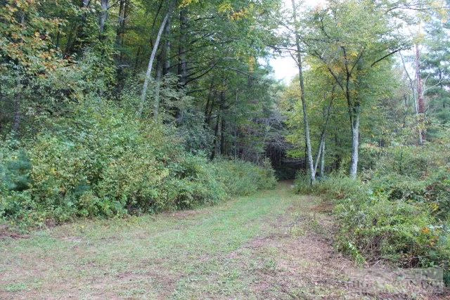 Image number 4 for the current listing
