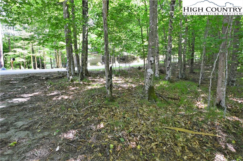 Image number 11 for the current listing