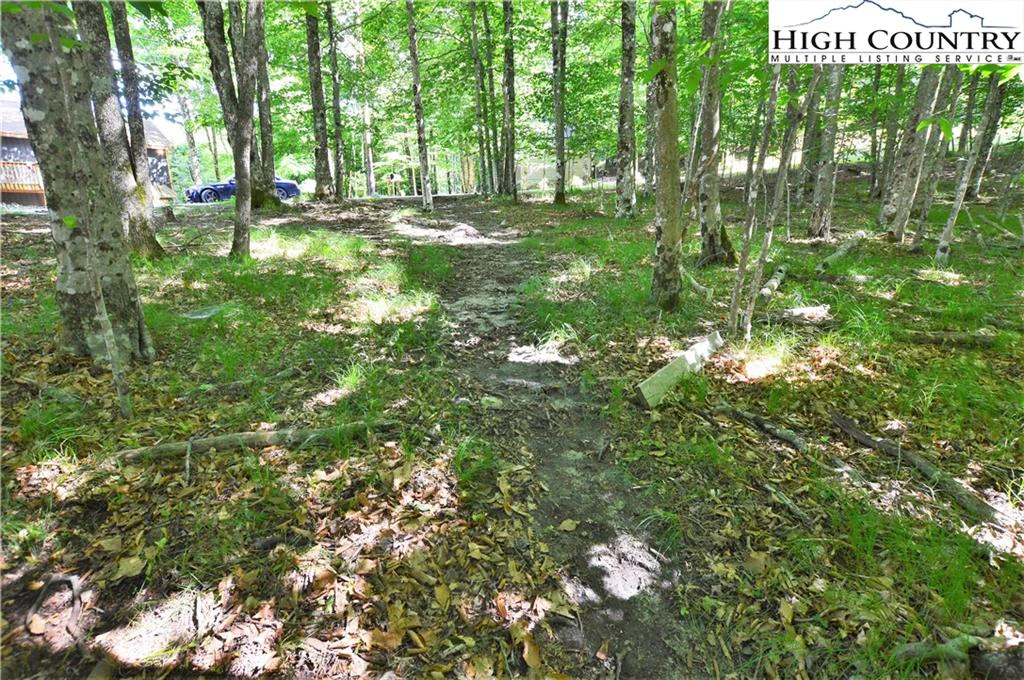 Image number 10 for the current listing