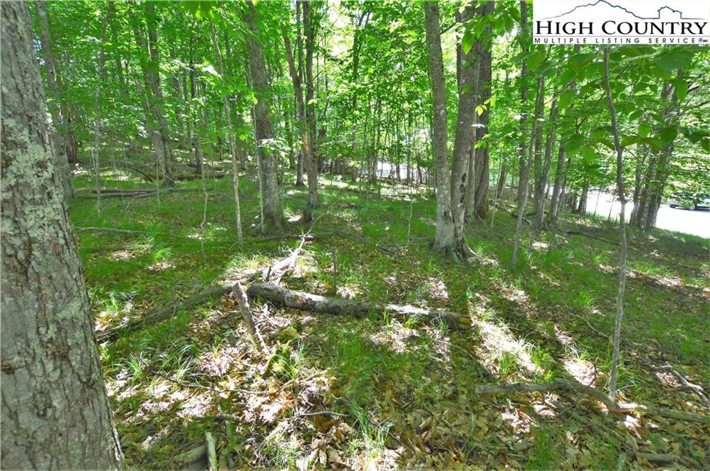 Image number 9 for the current listing