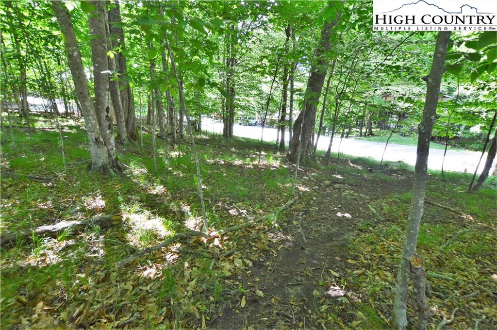 Image number 8 for the current listing