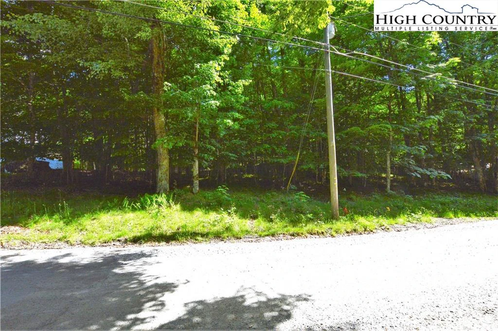 Image number 4 for the current listing