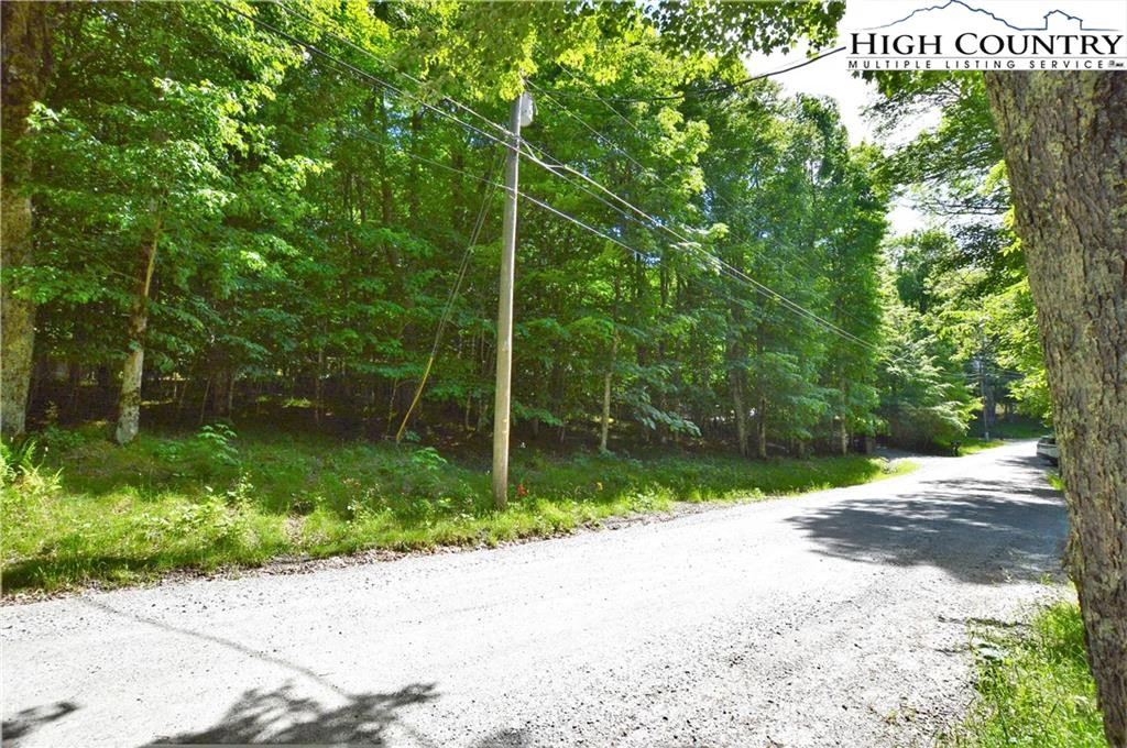 Image number 3 for the current listing