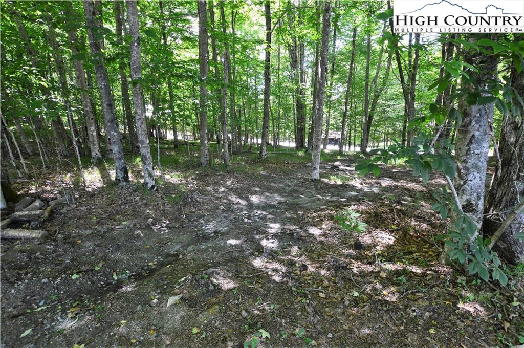 Image number 16 for the current listing