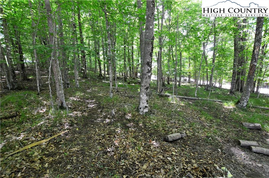 Image number 15 for the current listing