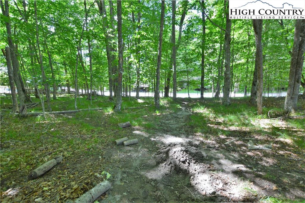 Image number 14 for the current listing