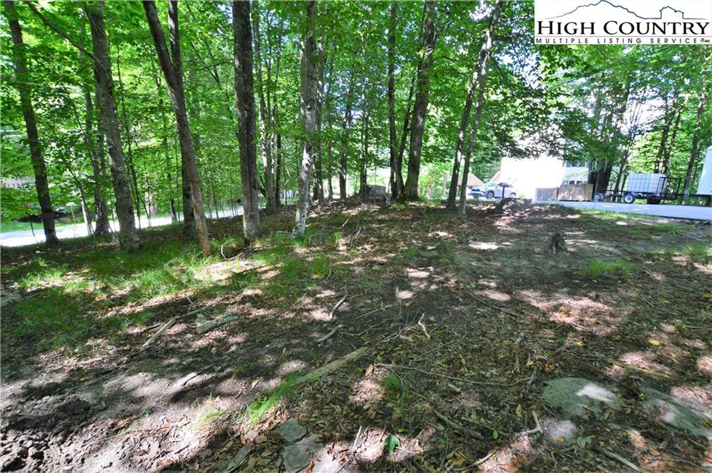 Image number 13 for the current listing
