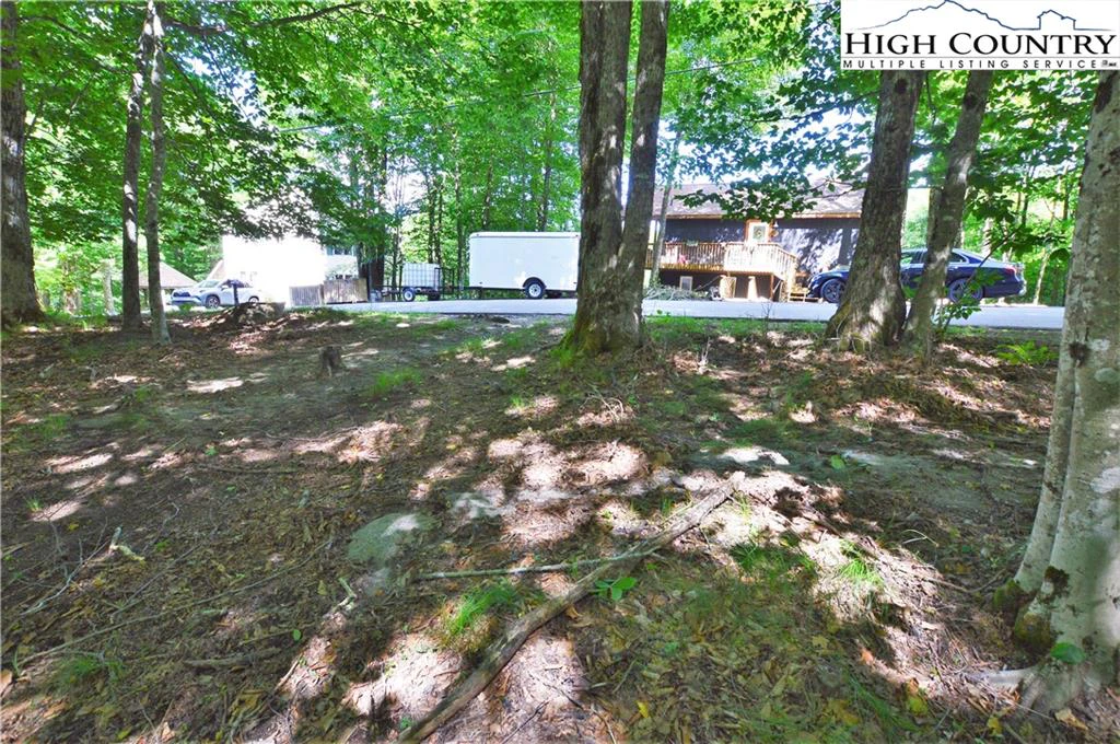 Image number 12 for the current listing