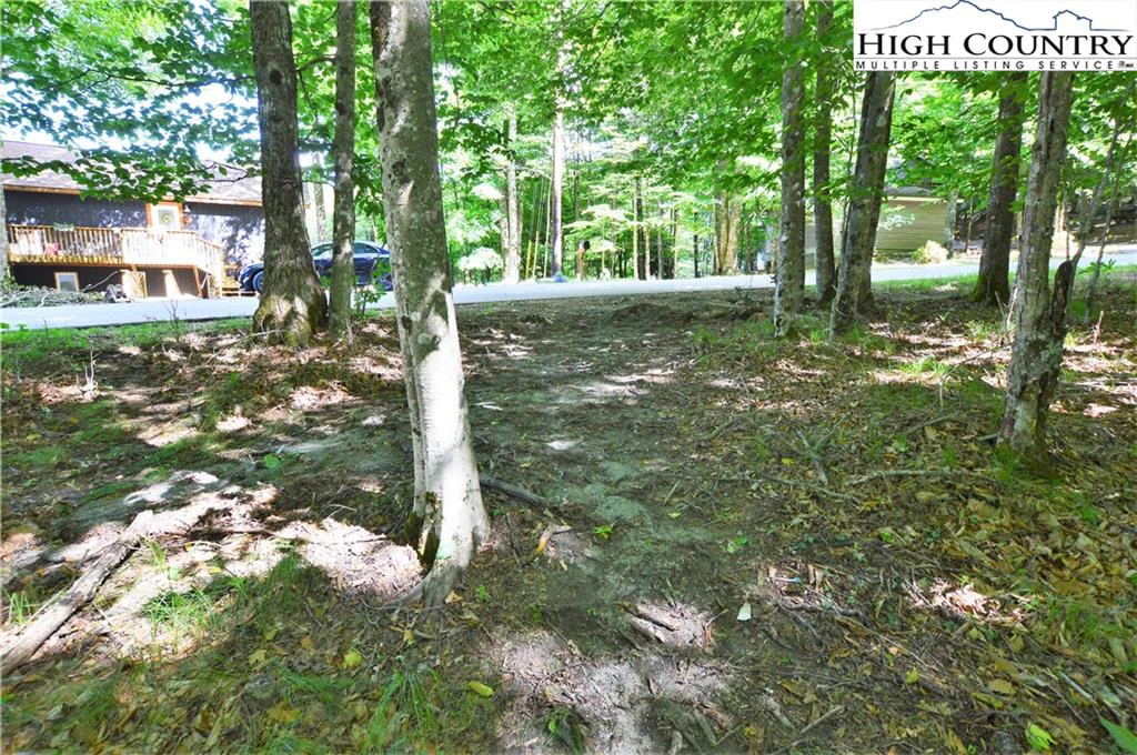 Image number 2 for the current listing