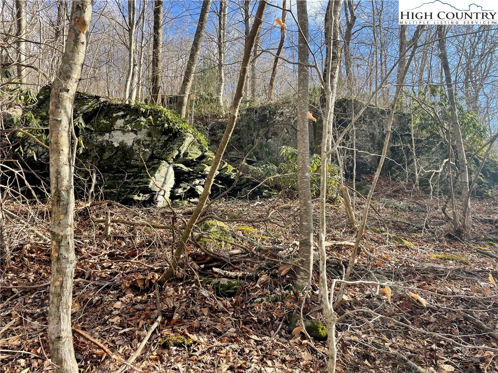 Image number 14 for the current listing