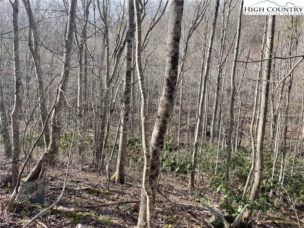 Image number 2 for the current listing