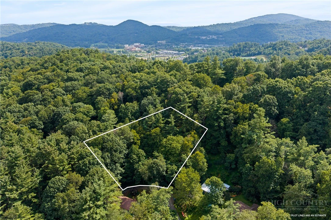 Image number 5 for the current listing