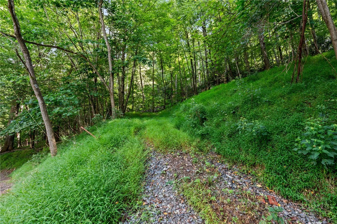 Image number 6 for the current listing