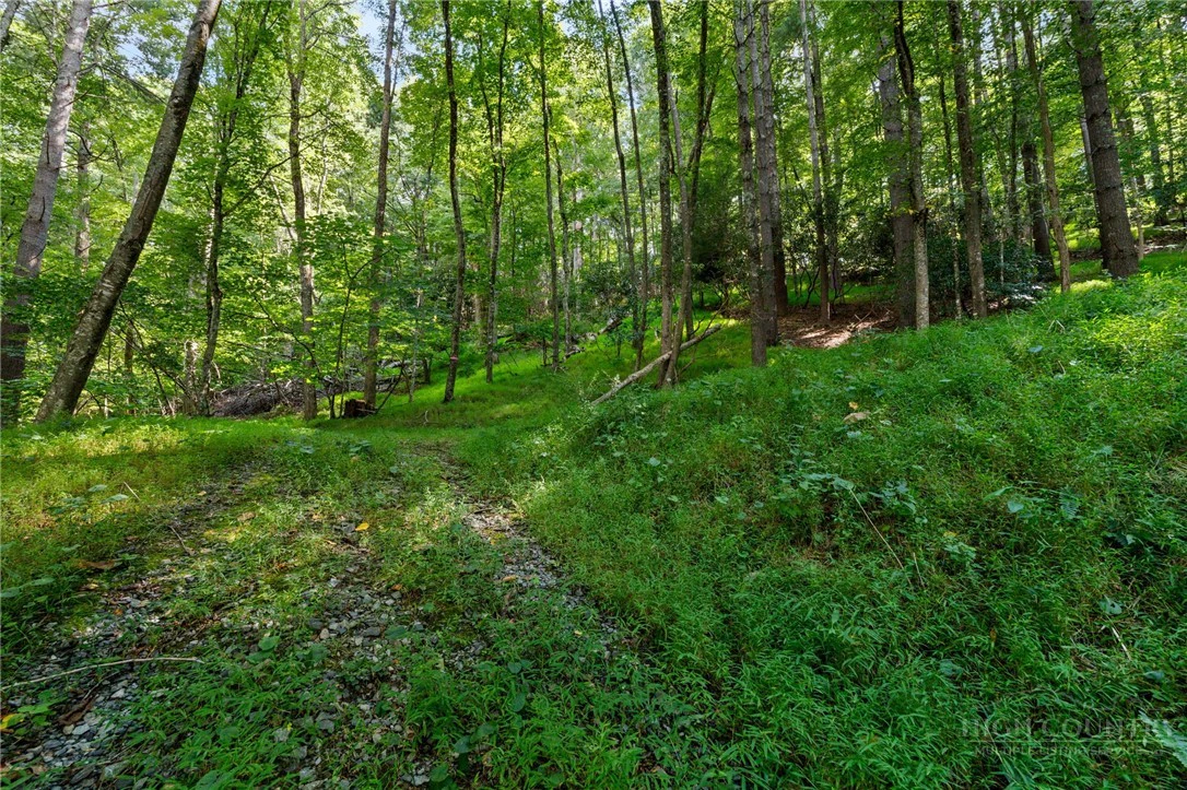 Image number 7 for the current listing