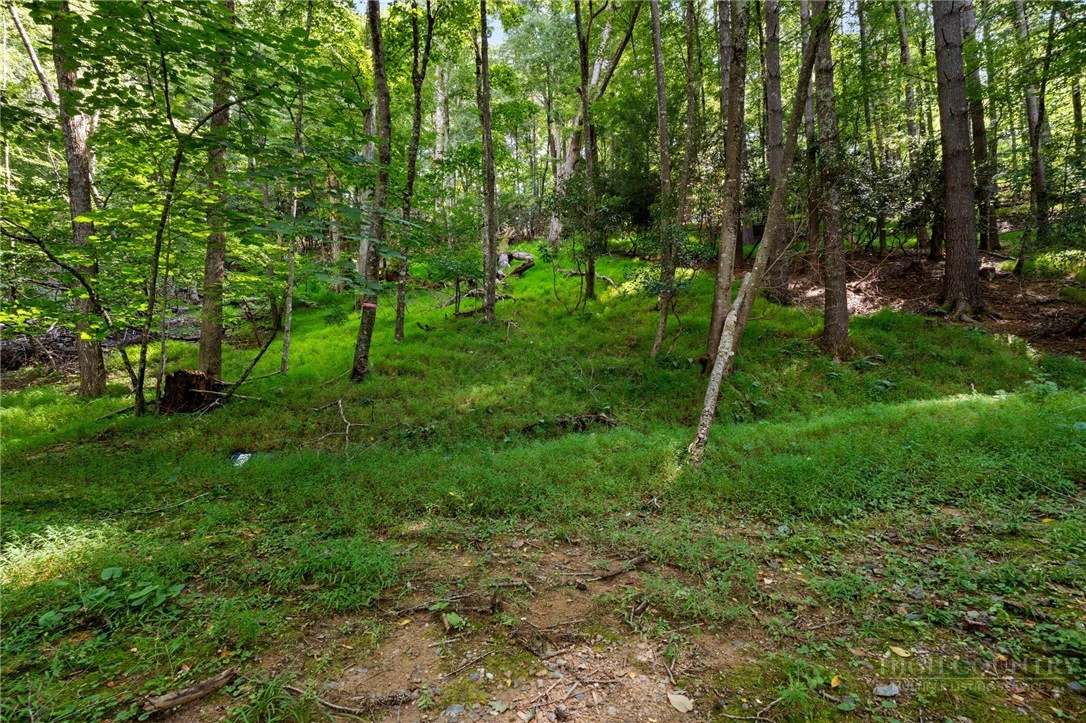 Image number 8 for the current listing