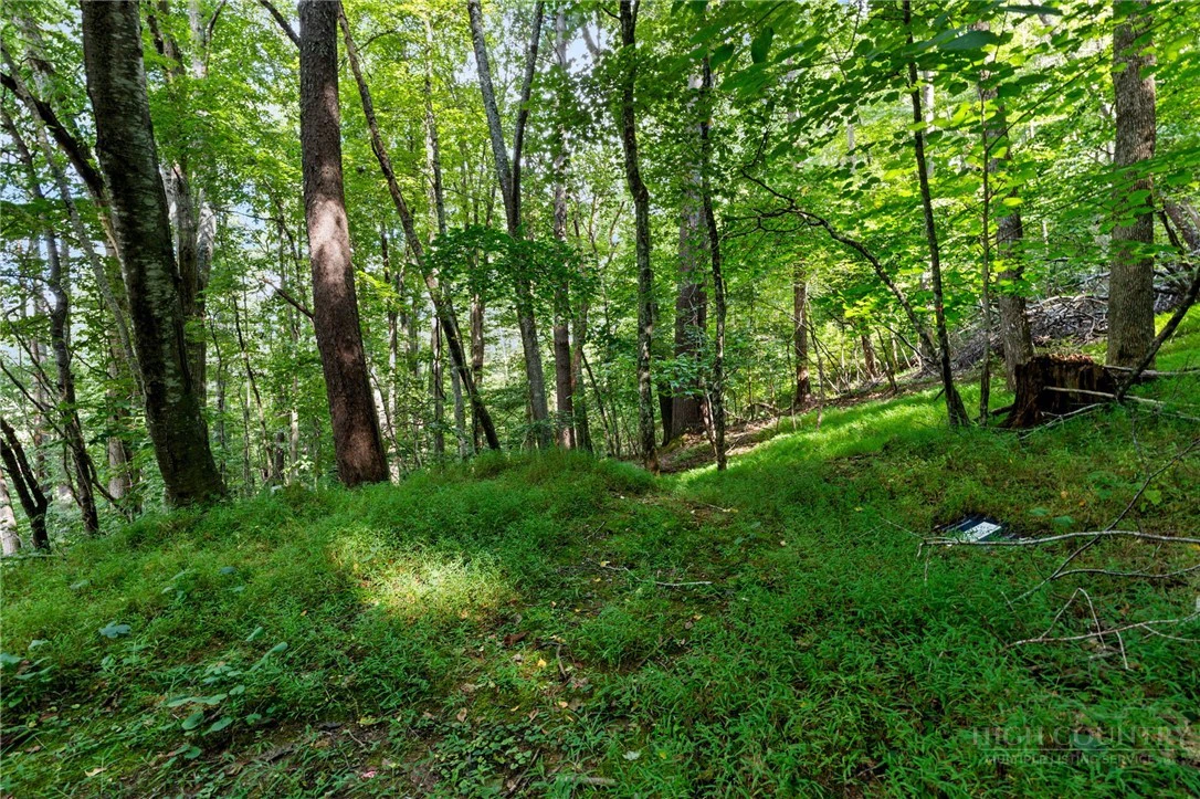 Image number 9 for the current listing