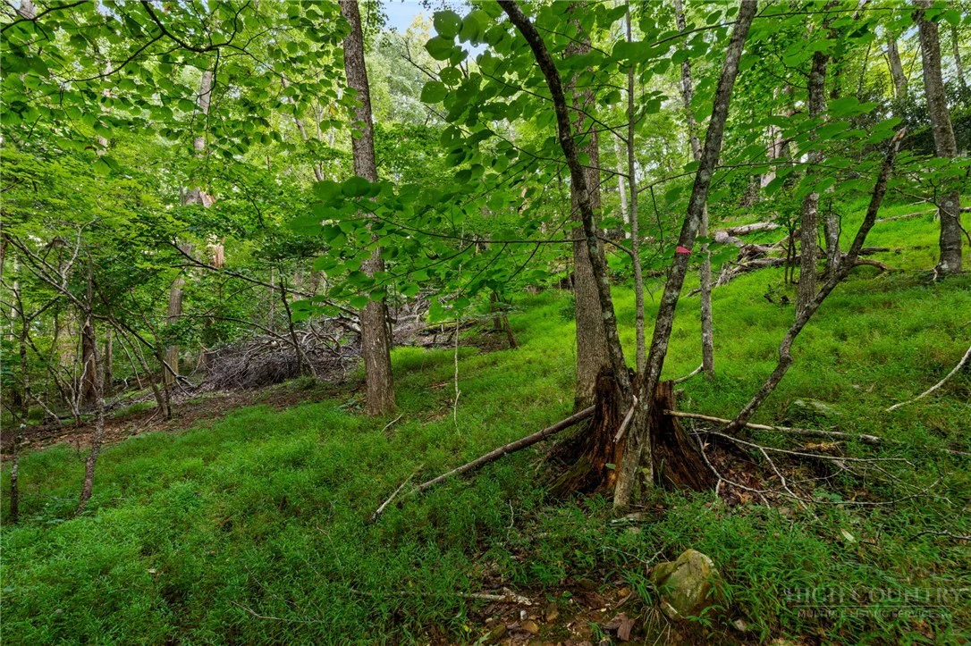 Image number 11 for the current listing