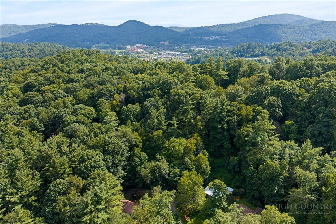 Image number 12 for the current listing