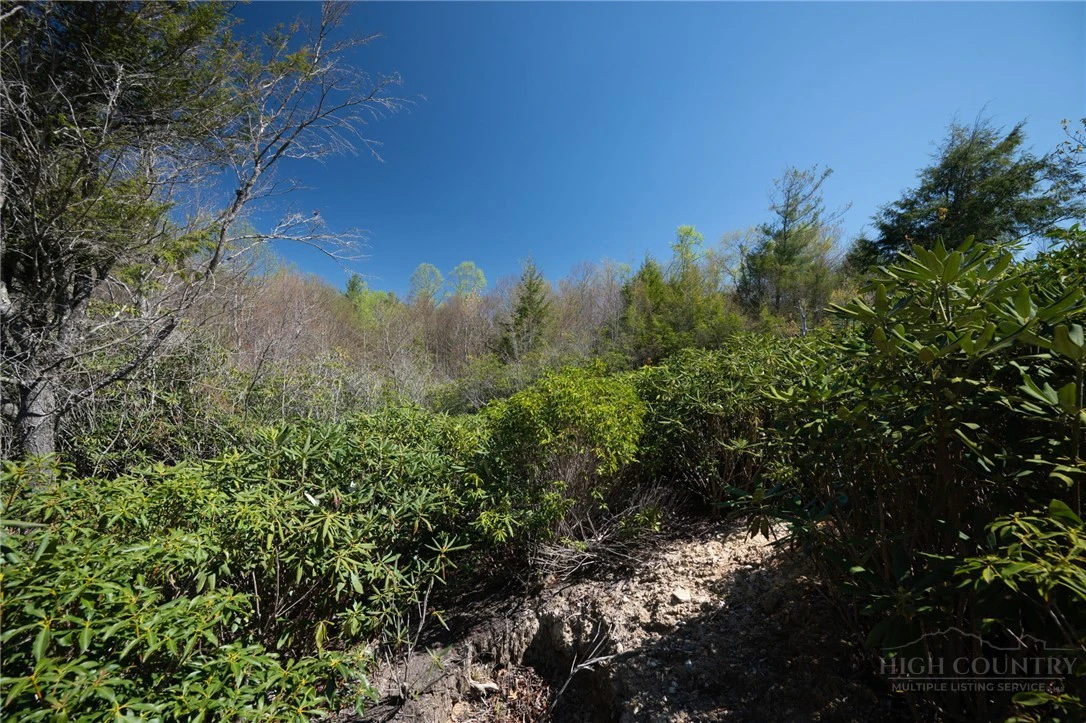 Image number 21 for the current listing