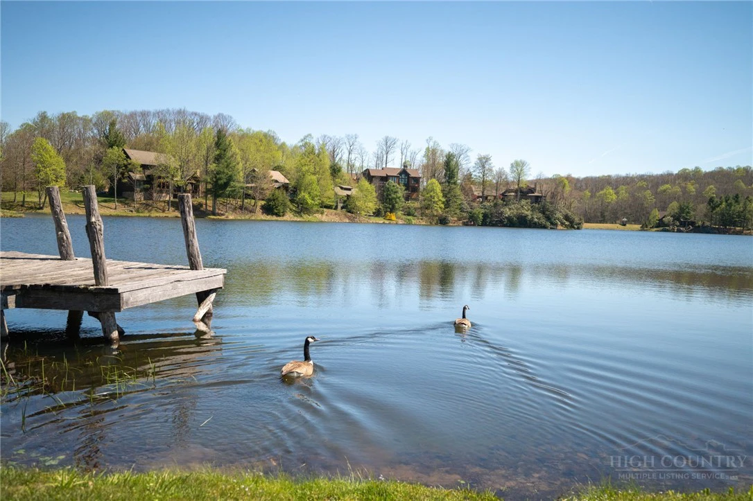 Image number 4 for the current listing